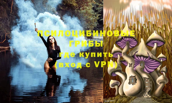 круглые Алексеевка